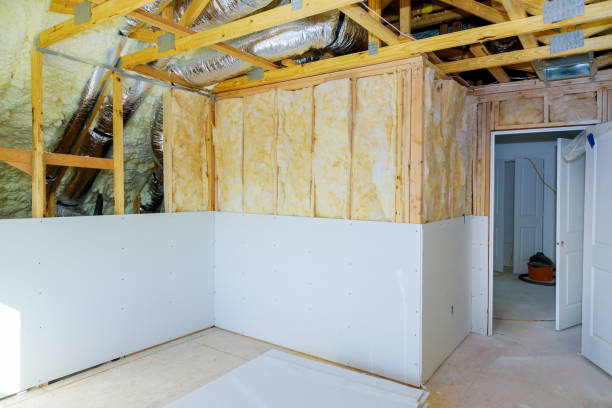 Best Insulation Contractors for Homes  in Manning, IA