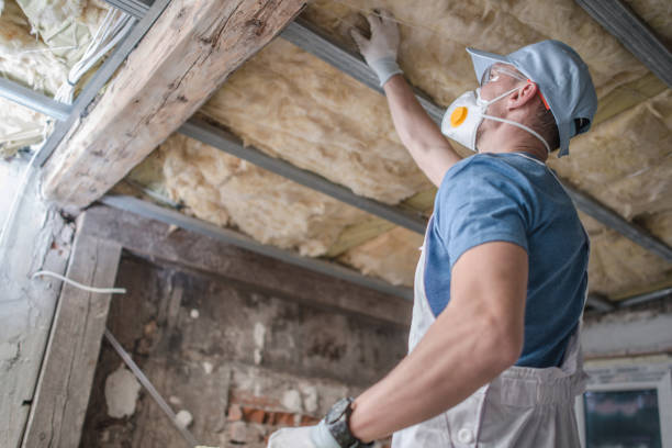 Best Garage Insulation Installation  in Manning, IA