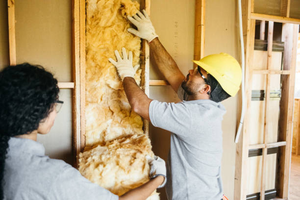 Best Home Insulation Services  in Manning, IA