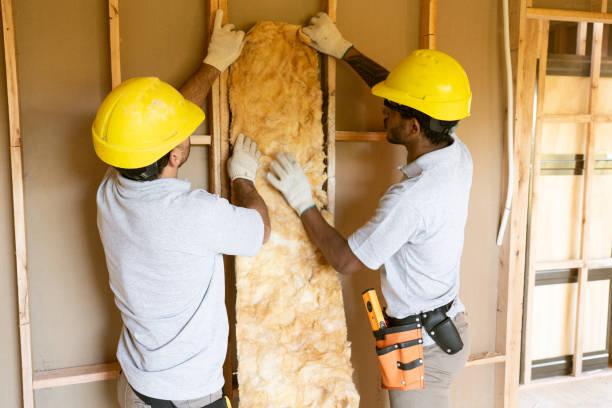 Best Cellulose Insulation  in Manning, IA