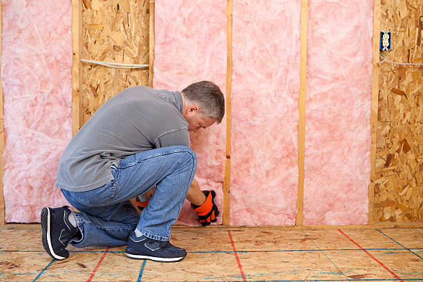 Best Attic Insulation Installation  in Manning, IA