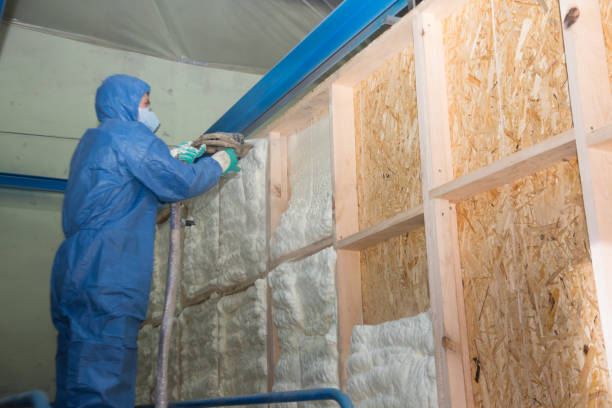 Best Residential Insulation Services  in Manning, IA