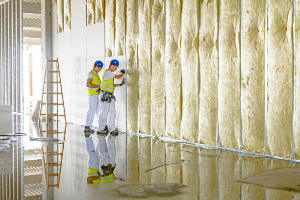 Best Commercial Insulation Contractor  in Manning, IA